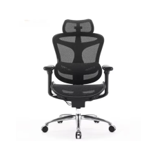 Офисное кресло Office Chair SIHOO C100-B101 BLACK
