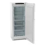 Вертикальный морозильник Indesit DFZ 4150